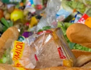 Biodéchets : maîtrisez vos coûts et respectez la réglementation