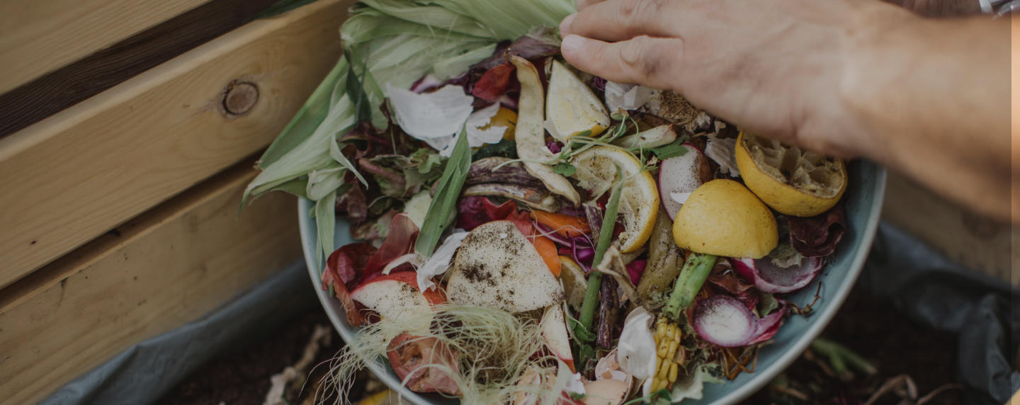Collecter les biodéchets et les déchets alimentaires des ménages : Veolia compose sur mesure une solution adaptée aux caractéristiques de chaque collectivité